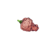 Grapes Harvest 8 x 14 cm Dark Rose Glass