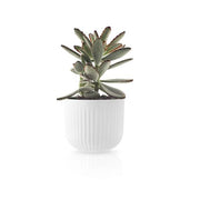 Eva Solo - Flowerpot small Nova | Hype Design London