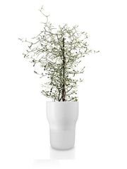 Eva Solo - Self watering plant 13cm | Hype Design London