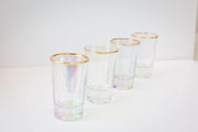 Root 7 Shot Glasses 4-pack Rainbow | Hype Design London