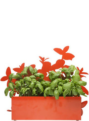 Form herb stand orange