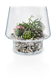 Succulent-glass-vase-dia21cm